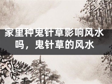 家里种鬼针草影响风水吗，鬼针草的风水
