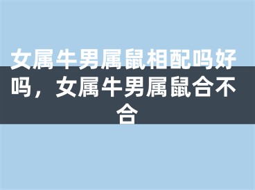 女属牛男属鼠相配吗好吗，女属牛男属鼠合不合