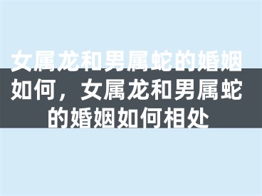 女属龙和男属蛇的婚姻如何,女属龙和男属蛇的婚姻如何相处