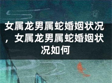 女属龙男属蛇婚姻状况，女属龙男属蛇婚姻状况如何