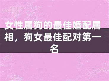 女性属狗的最佳婚配属相，狗女最佳配对第一名