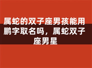 属蛇的双子座男孩能用鹏字取名吗，属蛇双子座男星