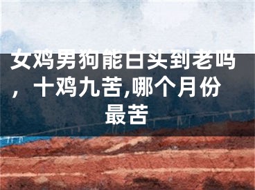 女鸡男狗能白头到老吗，十鸡九苦,哪个月份最苦