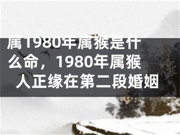 属1980年属猴是什么命，1980年属猴人正缘在第二段婚姻
