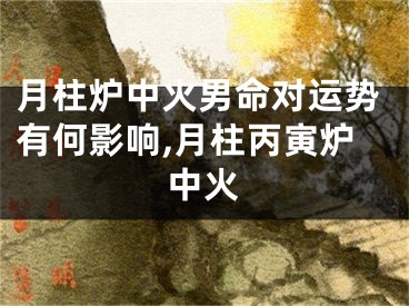 月柱炉中火男命对运势有何影响,月柱丙寅炉中火