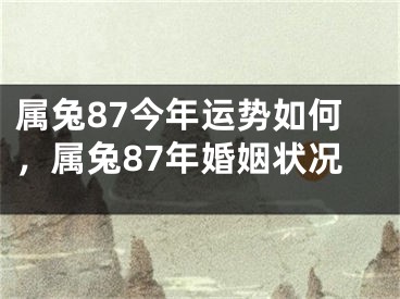 属兔87今年运势如何，属兔87年婚姻状况