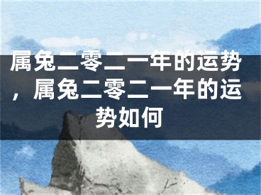 属兔二零二一年的运势，属兔二零二一年的运势如何