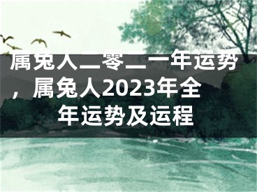 属兔人二零二一年运势，属兔人2023年全年运势及运程
