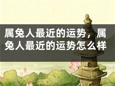 属兔人最近的运势，属兔人最近的运势怎么样