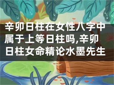 辛卯日柱在女性八字中属于上等日柱吗,辛卯日柱女命精论水墨先生