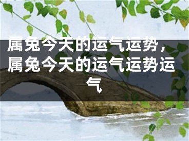 属兔今天的运气运势，属兔今天的运气运势运气