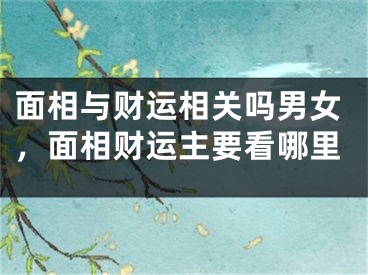 面相与财运相关吗男女，面相财运主要看哪里