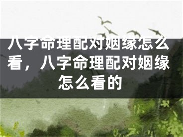 八字命理配对姻缘怎么看，八字命理配对姻缘怎么看的