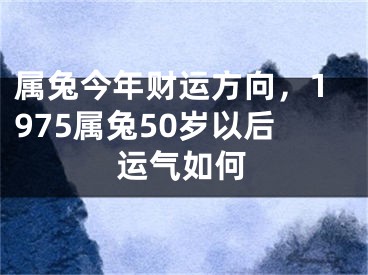 属兔今年财运方向,1975属兔50岁以后运气如何