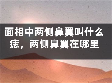 面相中两侧鼻翼叫什么痣，两侧鼻翼在哪里