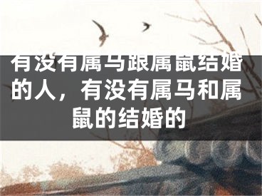 有没有属马跟属鼠结婚的人，有没有属马和属鼠的结婚的