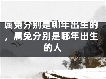 属兔分别是哪年出生的，属兔分别是哪年出生的人