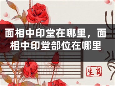 面相中印堂在哪里，面相中印堂部位在哪里