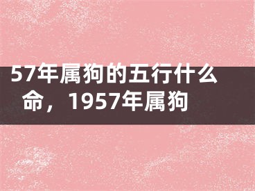 57年属狗的五行什么命，1957年属狗