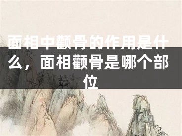 面相中颧骨的作用是什么，面相颧骨是哪个部位