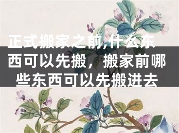 正式搬家之前,什么东西可以先搬,搬家前哪些东西可以先搬进去