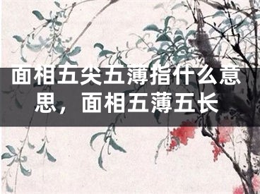 面相五尖五薄指什么意思，面相五薄五长