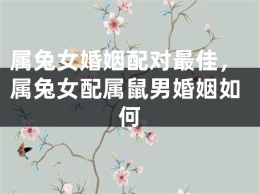属兔女婚姻配对最佳，属兔女配属鼠男婚姻如何
