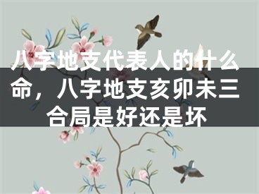 八字地支代表人的什么命，八字地支亥卯未三合局是好还是坏