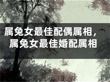 属兔女最佳配偶属相，属兔女最佳婚配属相