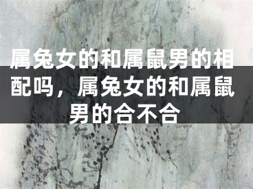 属兔女的和属鼠男的相配吗，属兔女的和属鼠男的合不合