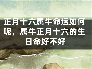正月十六属牛命运如何呢，属牛正月十六的生日命好不好