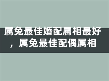 属兔最佳婚配属相最好，属兔最佳配偶属相