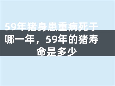 59年猪身患重病死于哪一年，59年的猪寿命是多少