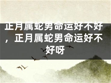 正月属蛇男命运好不好，正月属蛇男命运好不好呀