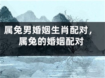 属兔男婚姻生肖配对，属兔的婚姻配对