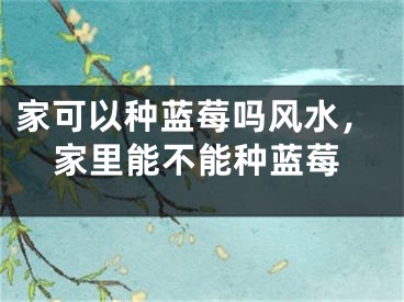 家可以种蓝莓吗风水，家里能不能种蓝莓