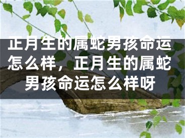 正月生的属蛇男孩命运怎么样，正月生的属蛇男孩命运怎么样呀