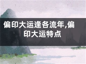 偏印大运逢各流年,偏印大运特点