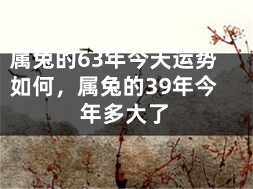 属兔的63年今天运势如何，属兔的39年今年多大了