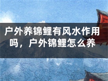 户外养锦鲤有风水作用吗，户外锦鲤怎么养
