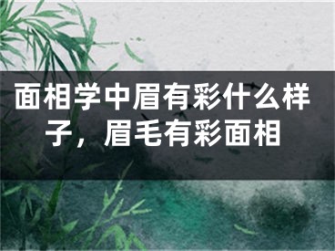 面相学中眉有彩什么样子，眉毛有彩面相
