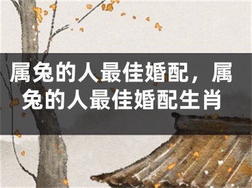 属兔的人最佳婚配，属兔的人最佳婚配生肖