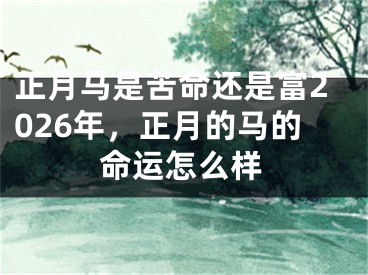 正月马是苦命还是富2026年,正月的马的命运怎么样