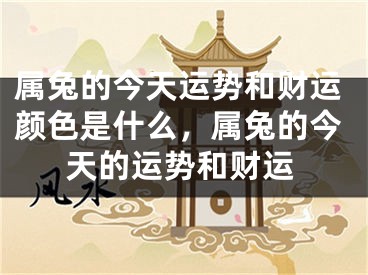 属兔的今天运势和财运颜色是什么，属兔的今天的运势和财运