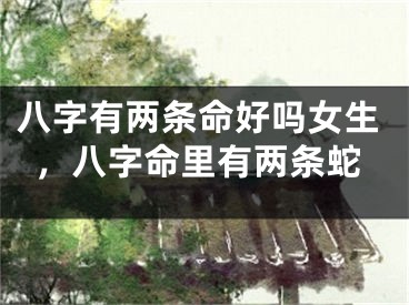 八字有两条命好吗女生，八字命里有两条蛇
