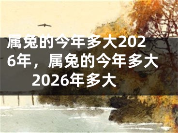 属兔的今年多大2026年，属兔的今年多大2026年多大