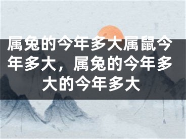 属兔的今年多大属鼠今年多大，属兔的今年多大的今年多大