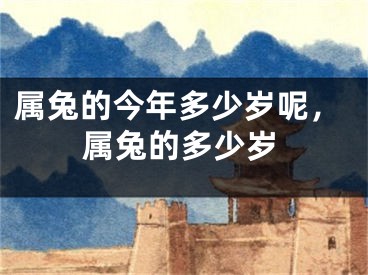 属兔的今年多少岁呢，属兔的多少岁