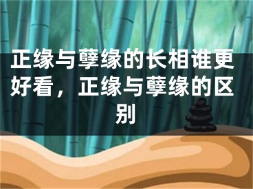 正缘与孽缘的长相谁更好看，正缘与孽缘的区别