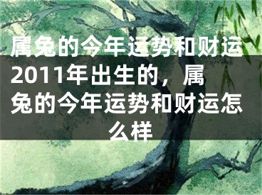 属兔的今年运势和财运2011年出生的，属兔的今年运势和财运怎么样